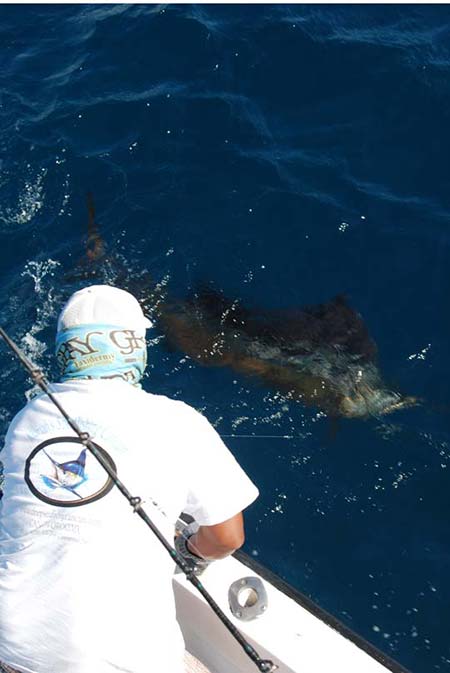 Fishing in isla mujeres Best marlin fishing in isla mujeres